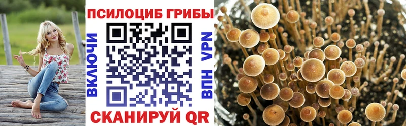 Галлюциногенные грибы мухоморы  Осинники 