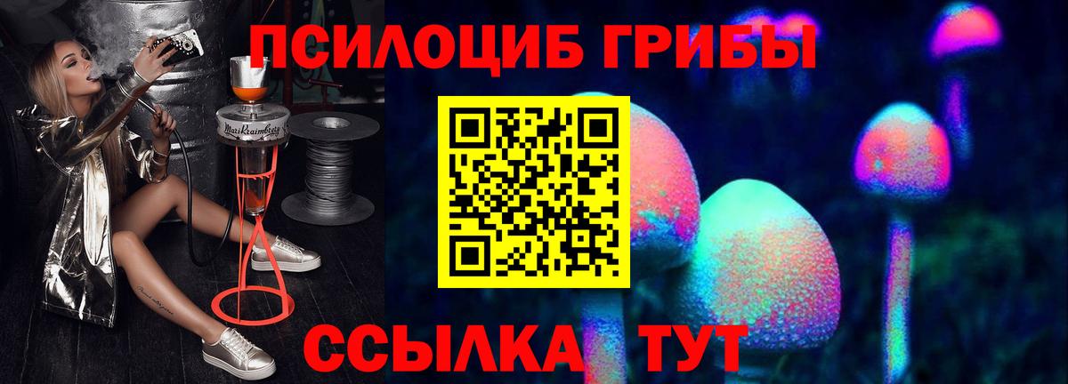 Галлюциногенные грибы Psilocybine cubensis  Вход с VPN  Осинники 